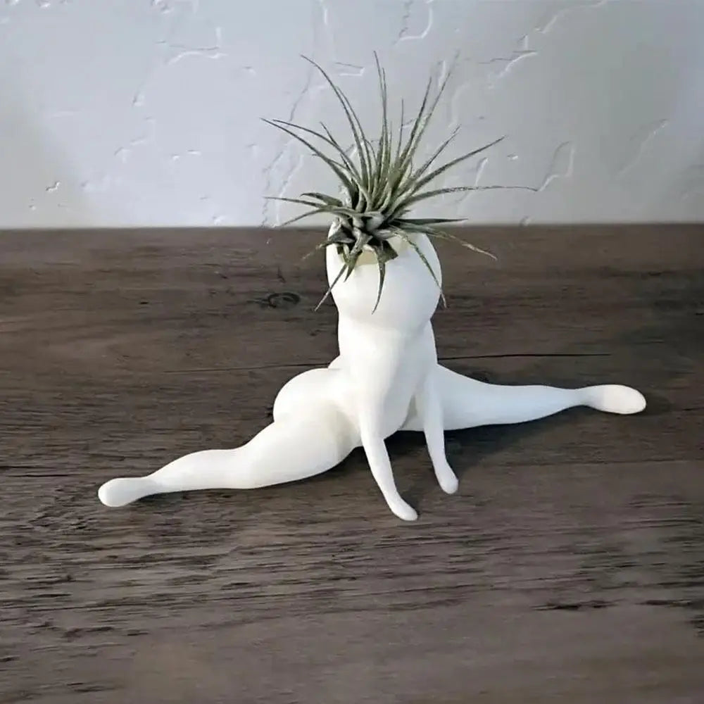 Air Plant Planter Resin Ghost Design Compact