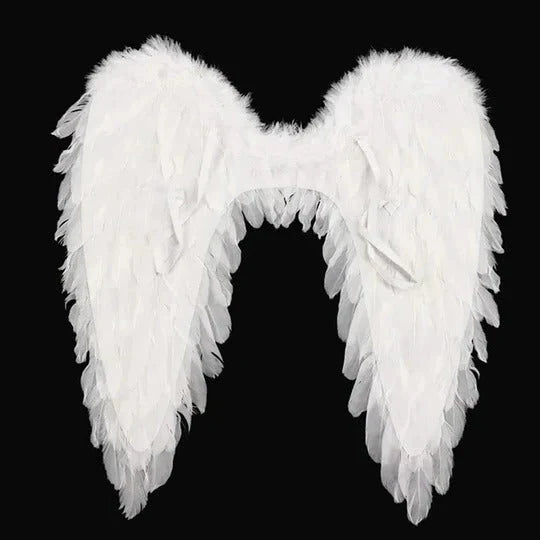 Angel Wings Foldable Lightweight Adjustable Straps