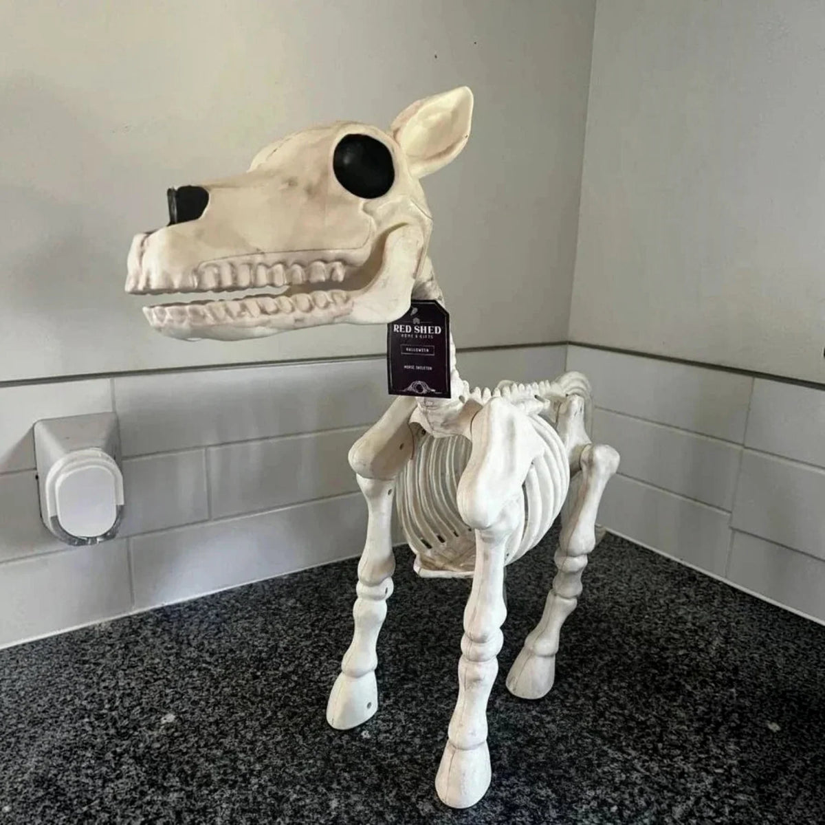 Animal Skeleton Decoration Weatherproof Resin & Carved Bone Detail