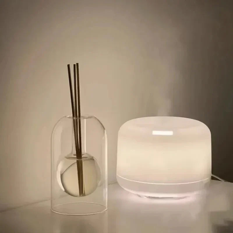 Aroma Diffuser Glass & Wood 8 Reed Sticks