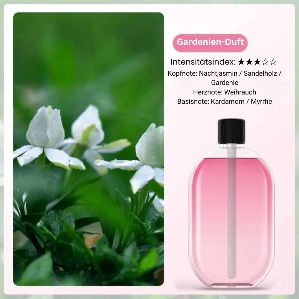 Aroma Diffuser USB Rechargeable LED Ambient Light