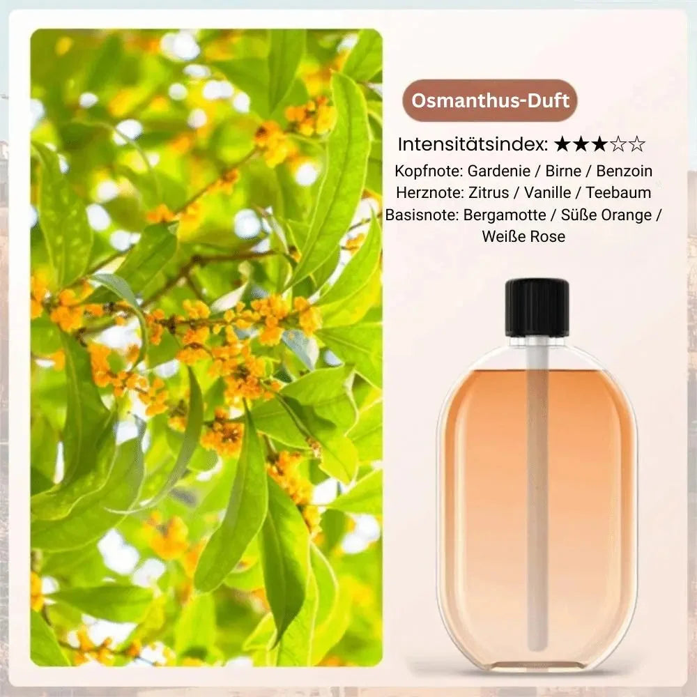 Aroma Diffuser USB Rechargeable LED Ambient Light