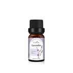 Aroma Diffuser Ultrasonic Quiet USB Powered