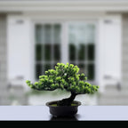 Artificial Bonsai Tree Lifelike Leaves No Maintenance 24cm