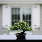 Artificial Bonsai Tree Realistic Leaves Low Maintenance Black Pot