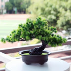 Artificial Bonsai Tree Realistic Leaves Low Maintenance Black Pot