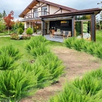 Artificial Boston Fern Lifelike UV-Protected & Water-Resistant