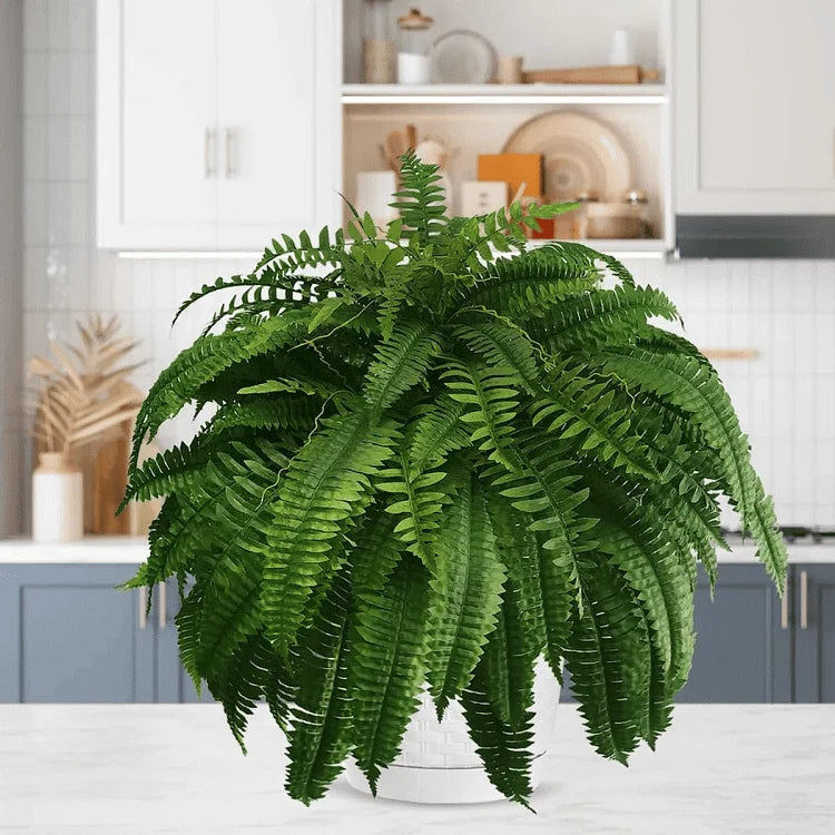 Artificial Boston Fern Stems Set of 18 UV Resistant