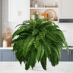 Artificial Boston Fern UV-Resistant Realistic Set of 18