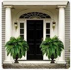 Artificial Boston Fern UV-Resistant Washable 18 Full Fronds