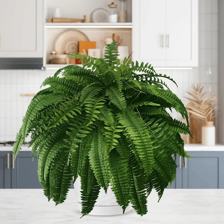 Artificial Boston Ferns UV-Resistant & Realistic Set of 18
