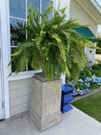 Artificial Ferns UV-Resistant Water-Shedding Set of 18