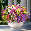 Artificial Flowers UV-Resistant Colorfast Indoor & Outdoor