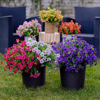Artificial Flowers UV-Resistant Colorfast Indoor & Outdoor