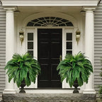 Artificial Hanging Boston Fern UV-Resistant Adjustable Stems
