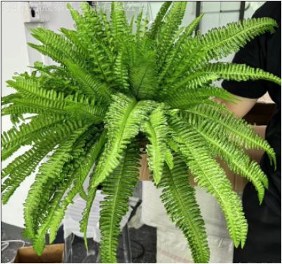 Artificial Hanging Boston Fern UV-Resistant Adjustable Stems