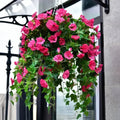 Artificial Morning Glory Garland Lifelike Silk UV Resistant