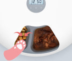 Automatic Pet Feeder 6-Meal Programmable USB & Battery