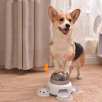 Automatic Pet Feeder Adjustable Portions Removable Leak-Proof Tray