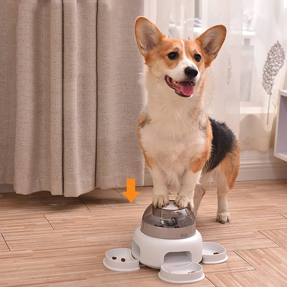 Automatic Pet Feeder Adjustable Portions Removable Leak-Proof Tray