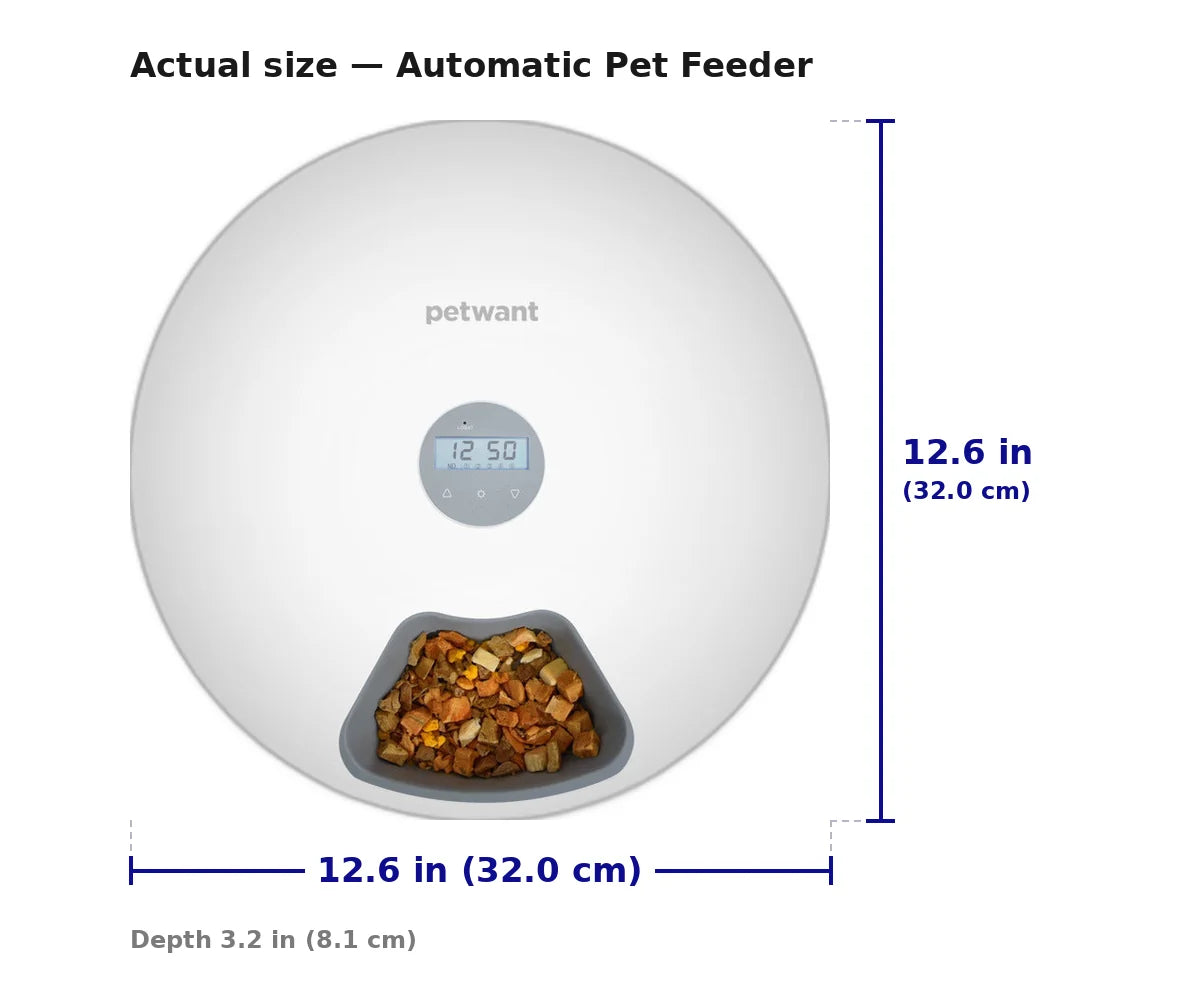 Automatic Pet Feeder Six Pre-Portioned Meals USB & Battery