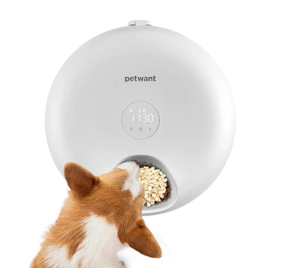 Automatic Pet Feeder Six Pre-Portioned Meals USB & Battery