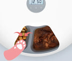 Automatic Pet Feeder Six Pre-Portioned Meals USB & Battery