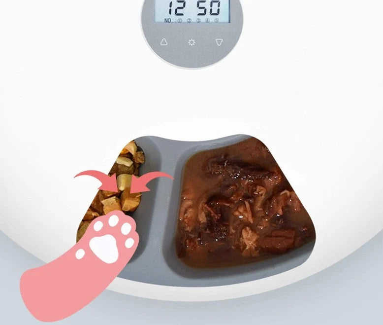 Automatic Pet Feeder Six Pre-Portioned Meals USB & Battery
