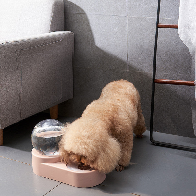 Automatic Pet Water Dispenser Transparent Top-Load 1.8L