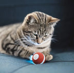 Automatic Rolling Cat Toy USB Rechargeable Durable Synthetic Fiber