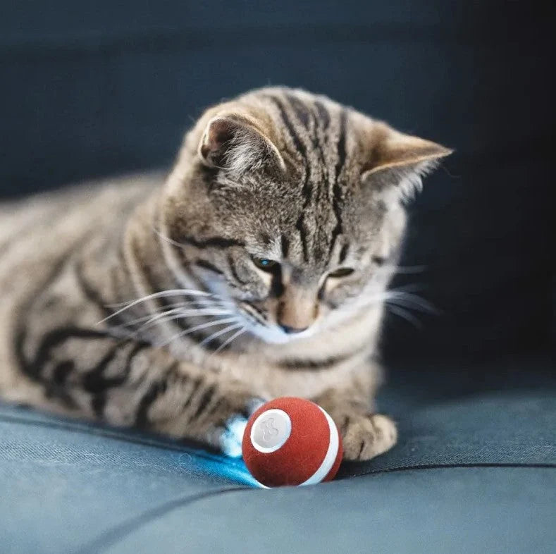 Automatic Rolling Cat Toy USB Rechargeable Durable Synthetic Fiber
