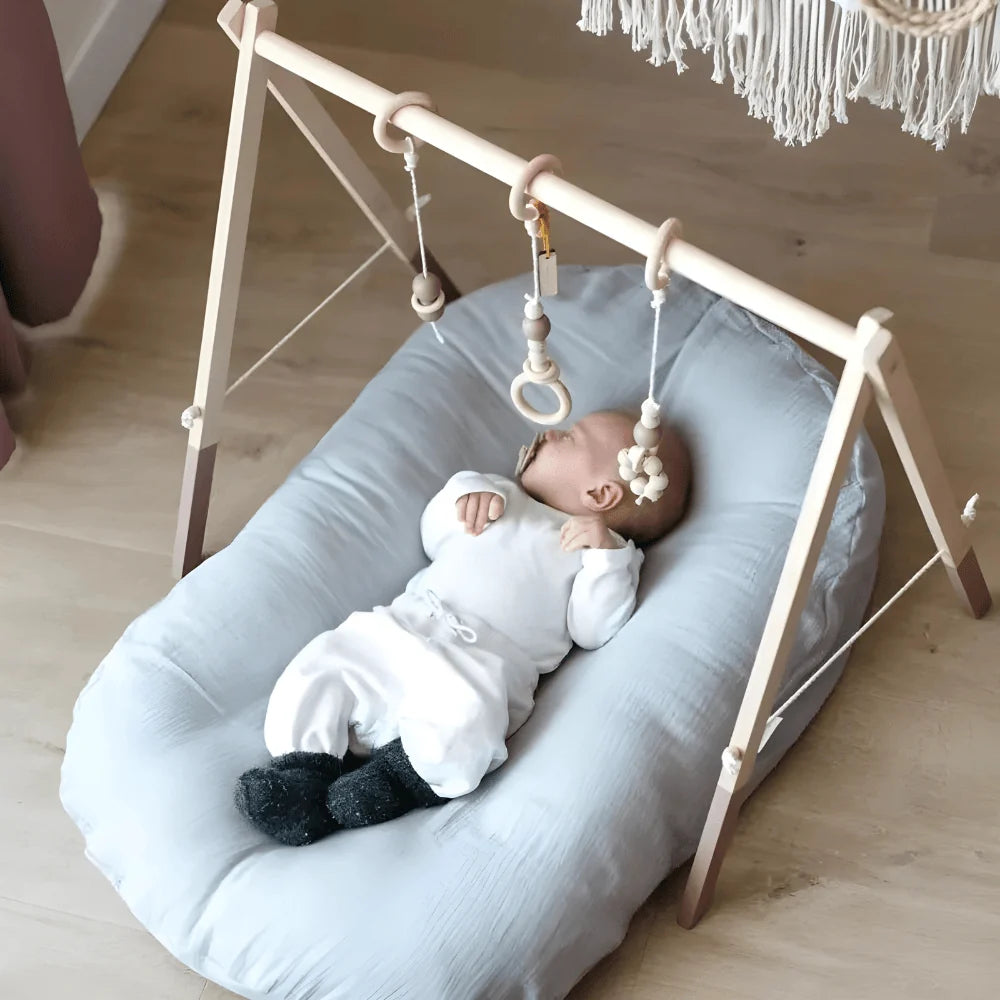 Baby Nest Ergonomic Memory Foam & Hypoallergenic Cotton