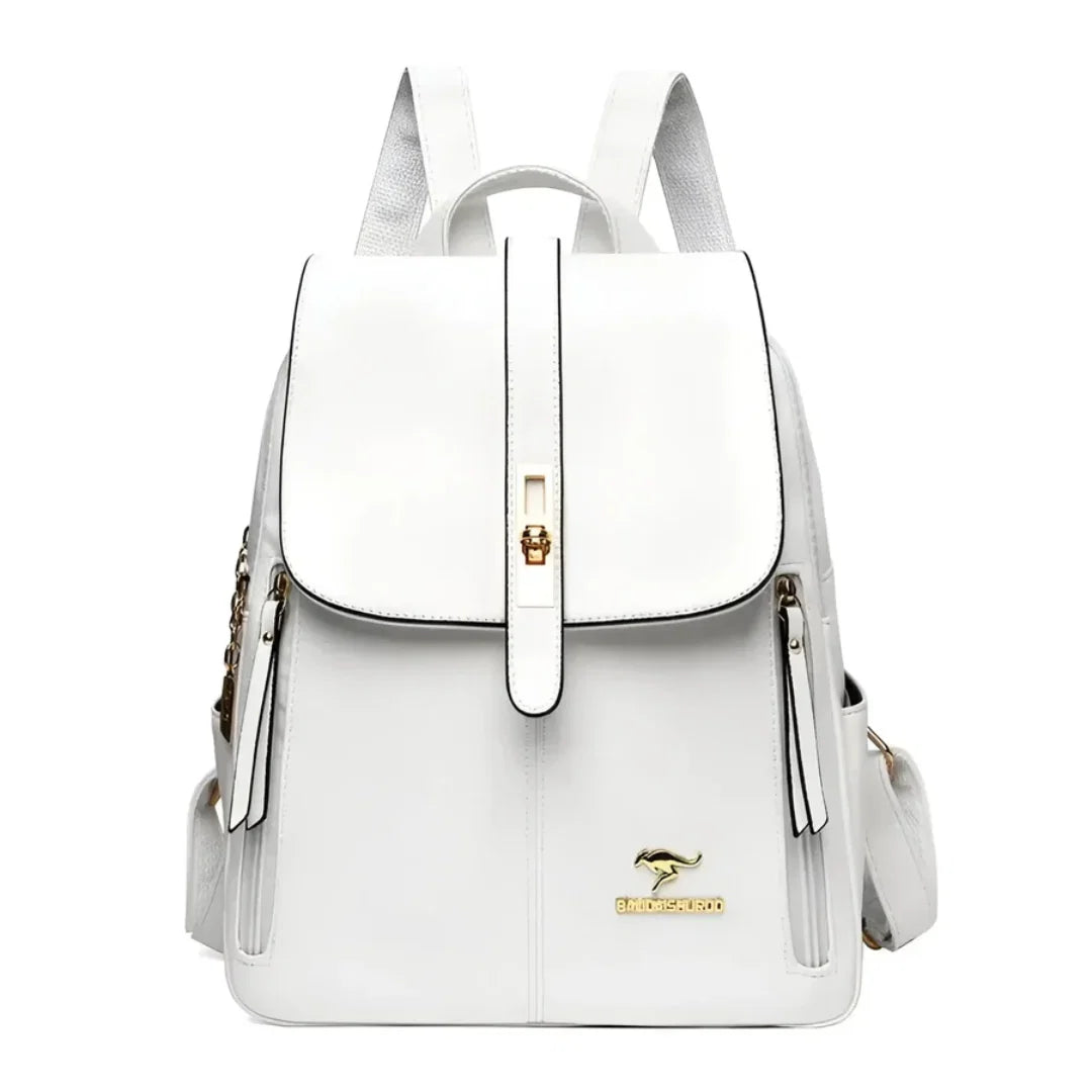 Backpack Laptop Friendly Multiple Pockets & Ergonomic Straps