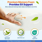 Backrest Pillow With Arms High-Density Foam Removable Cover