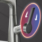 Basin Faucet Pull-Out Spray Dual Modes 360° Swivel