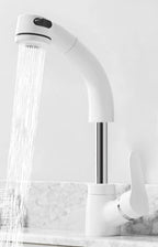 Basin Mixer Pull-Out Spray Single-Handle Brass