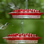 Bee-Resistant Hex-Port Hummingbird Feeder (12–14 oz)
