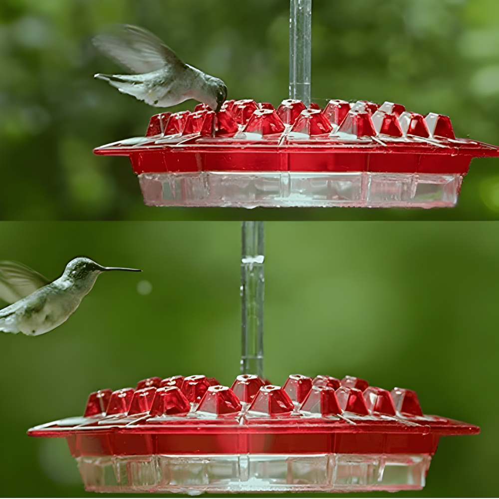 Bee-Resistant Hex-Port Hummingbird Feeder (12–14 oz)