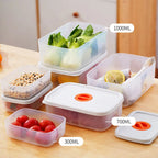 Bento Container Freshness Timer Lid Airtight & Microwave-Safe