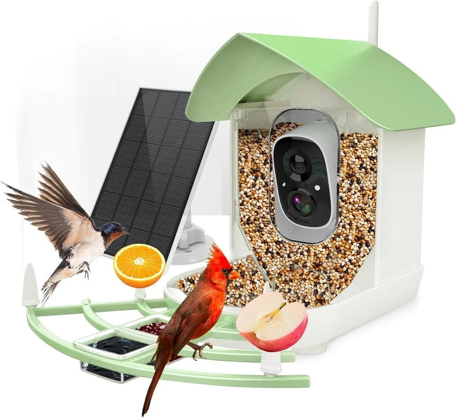 Bird Feeder Camera 1080p HD Solar & AI ID