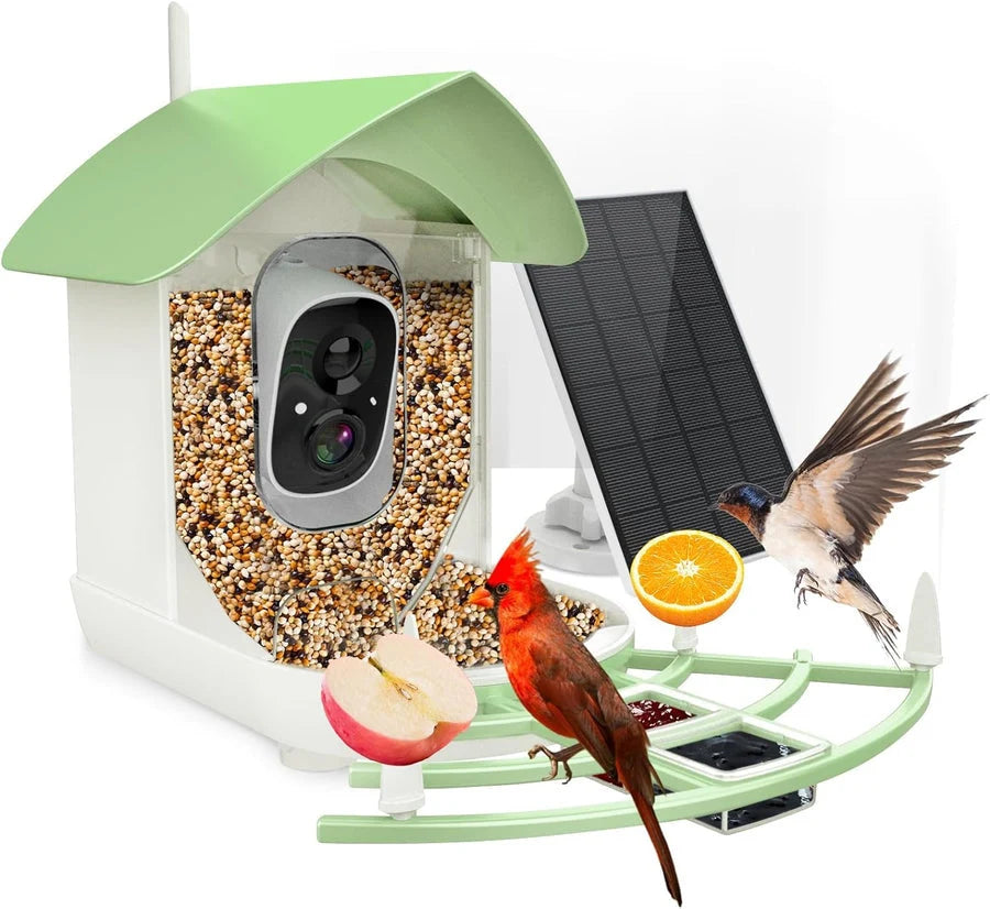 Bird Feeder Camera 1080p HD Solar & AI ID