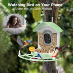 Bird Feeder Camera 1080p HD Solar & AI ID