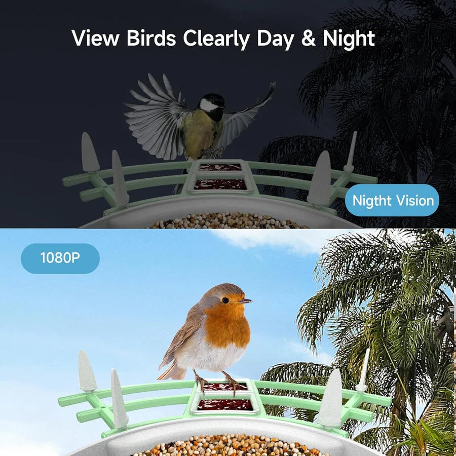 Bird Feeder Camera 1080p HD Solar & AI ID