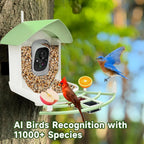 Bird Feeder Camera 1080p HD Solar-Powered AI Species ID