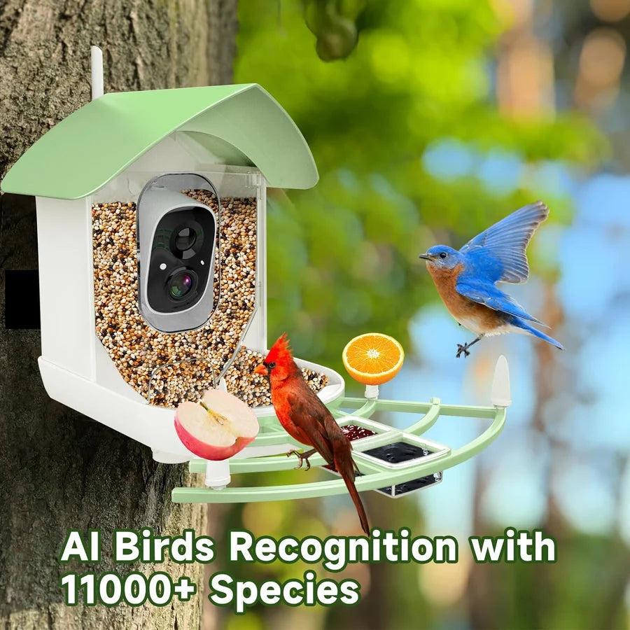 Bird Feeder Camera 1080p HD Solar-Powered AI Species ID