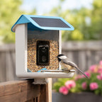Bird Feeder Camera AI Identification 1080p Solar-Powered