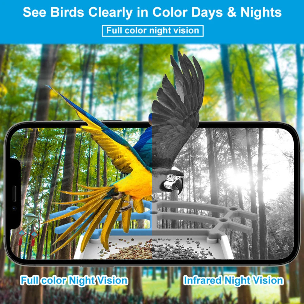 Bird Feeder Camera Solar-Powered 1080p HD App Access