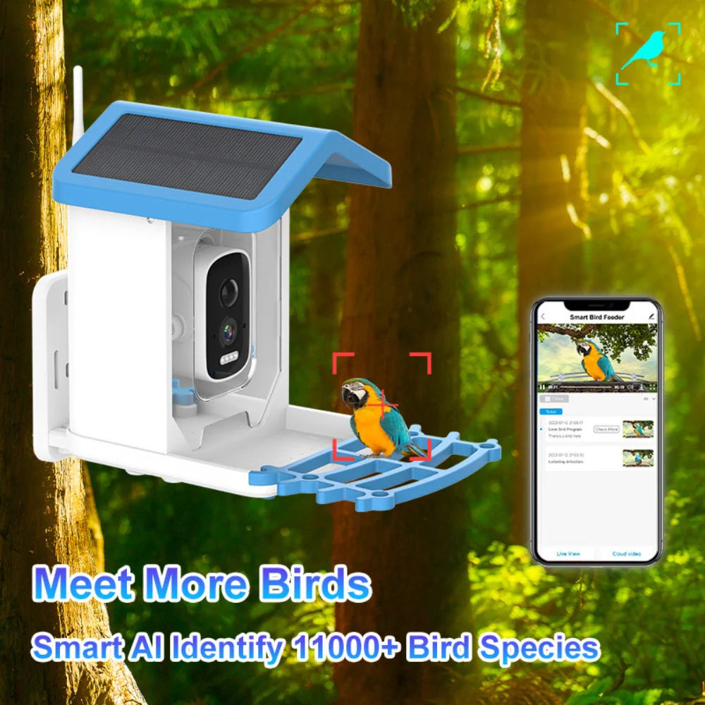 Bird Feeder Camera Solar-Powered 1080p HD App Access