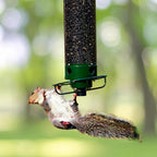 Bird Feeder Squirrel-Proof Rotating Perch 50 cm Tube