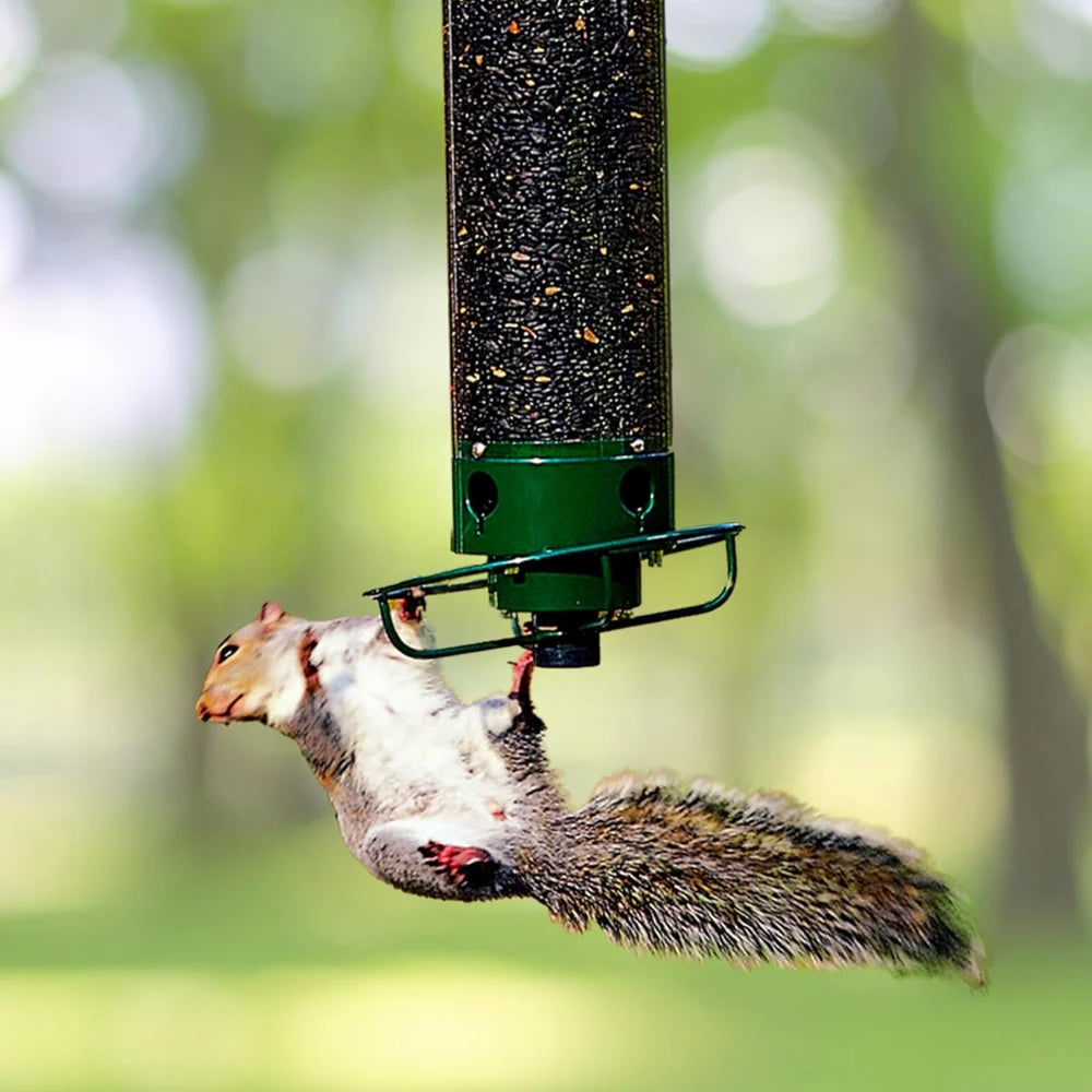 Bird Feeder Squirrel-Proof Rotating Perch 50 cm Tube